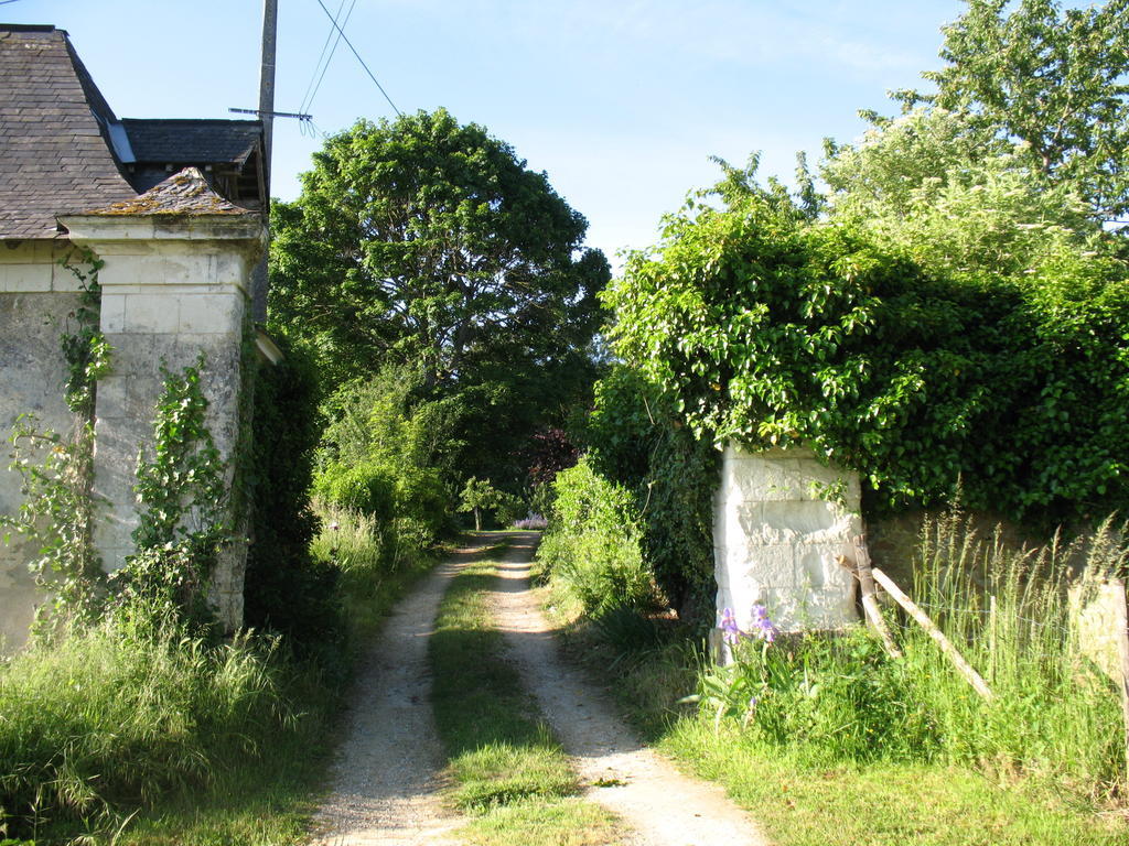 Bed and Breakfast La Mesnagerie Jarzé Exteriér fotografie