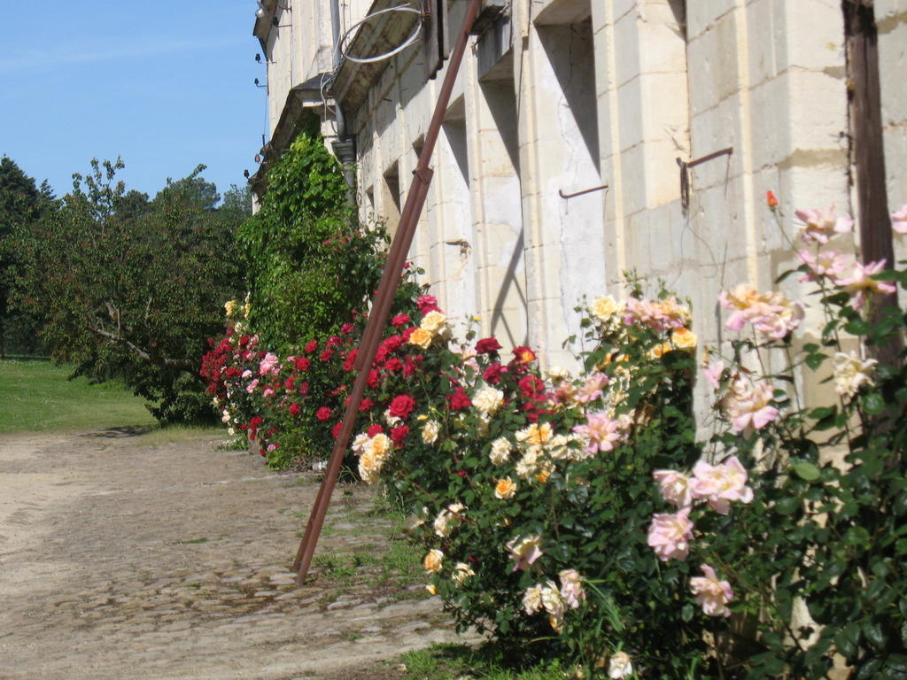 Bed and Breakfast La Mesnagerie Jarzé Pokoj fotografie