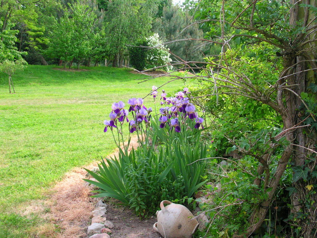 Bed and Breakfast La Mesnagerie Jarzé Pokoj fotografie